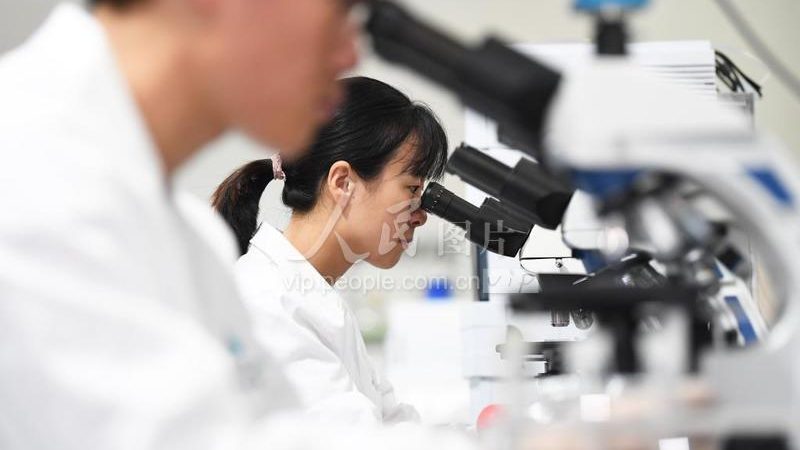 细胞培养试剂耗材：助力科研，从选择开始**