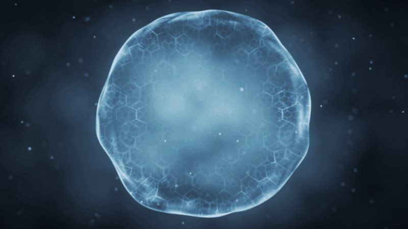 区域代理是生物科技公司产品推广和销售的重要环节，其角色和职责主要包括：
