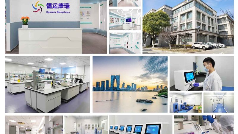 CRo公司上市排名背后的考量因素