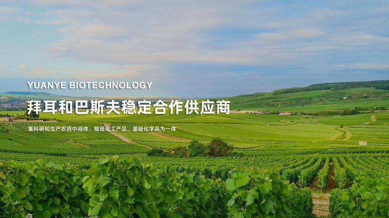 北京离心管批发市场：揭秘实验室耗材的秘密花园**