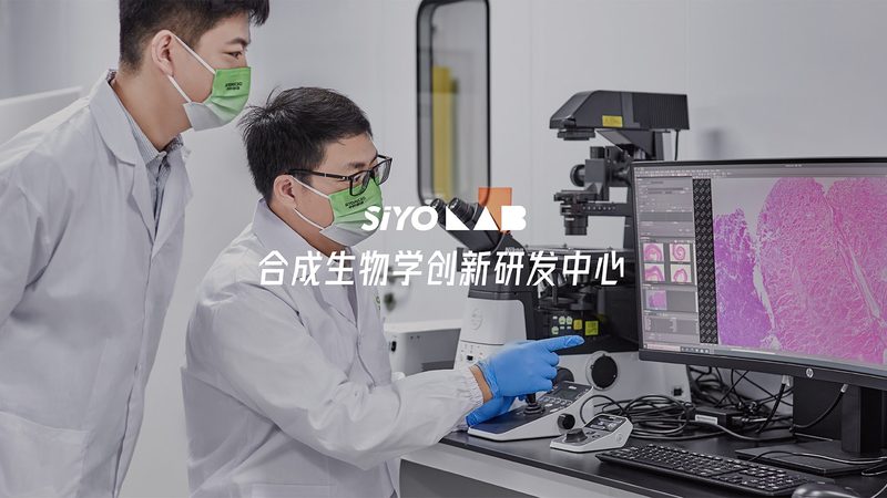 抗体人源化改造：技术演变与对比解析