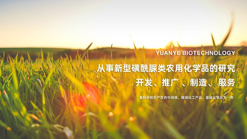 干细胞培养基保存条件揭秘：有效期那些事儿**