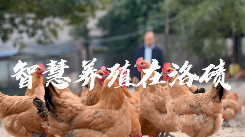电动移液器：精准滴定的实验室助手**