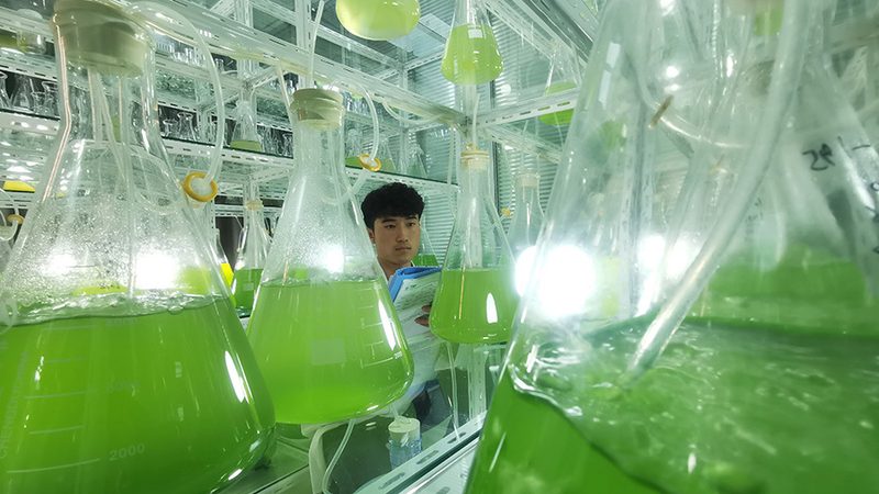 儿童遗传病基因检测：揭秘价格背后的价值**